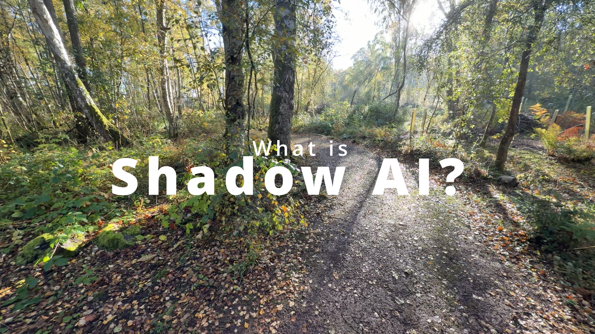 The Hidden Risk in Your Business: Shadow AI - Richard Taylor Consultancy